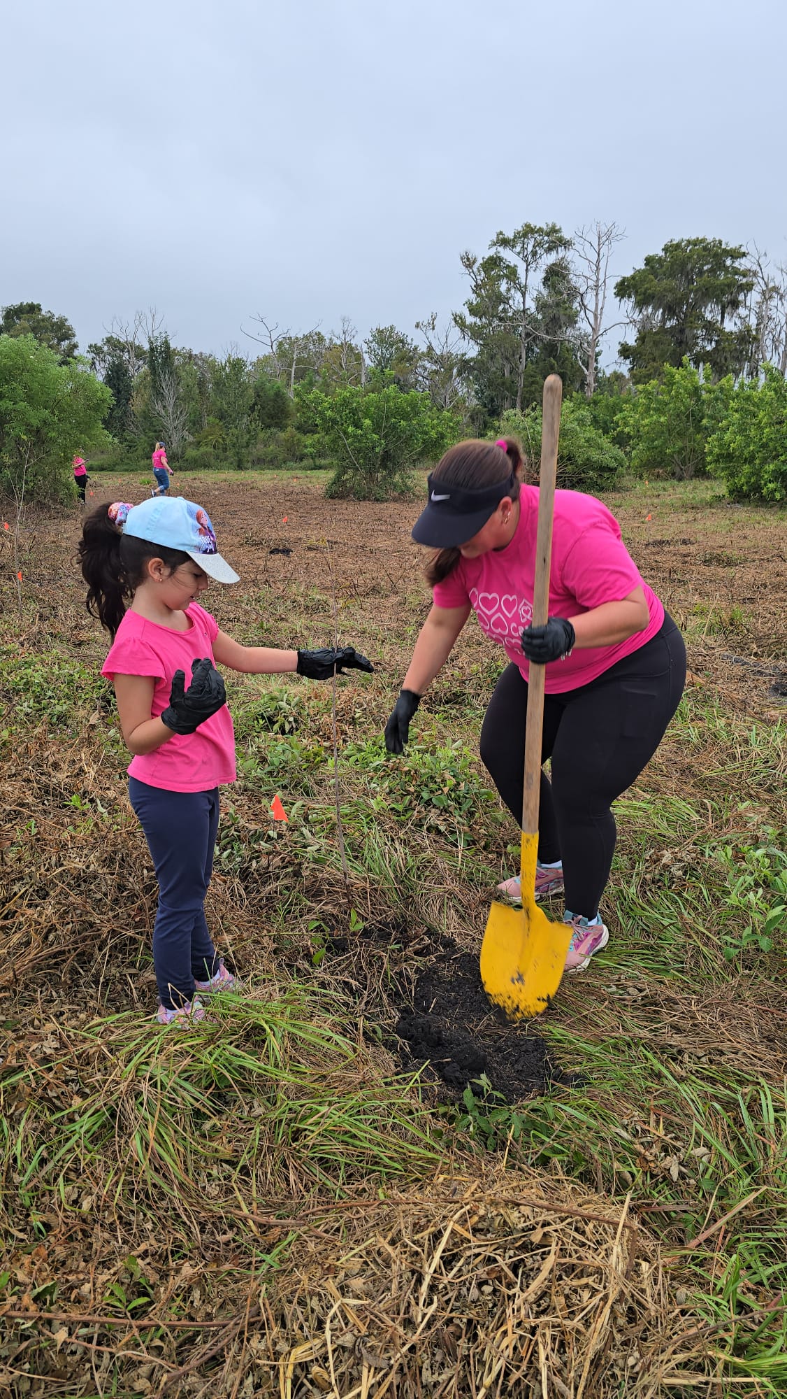 Casiola gets it's hands dirty for a great cause, and plants 251 trees! 1 WhatsApp Image 2025 10 22 at 15.38.52 a0a3cfd0 1