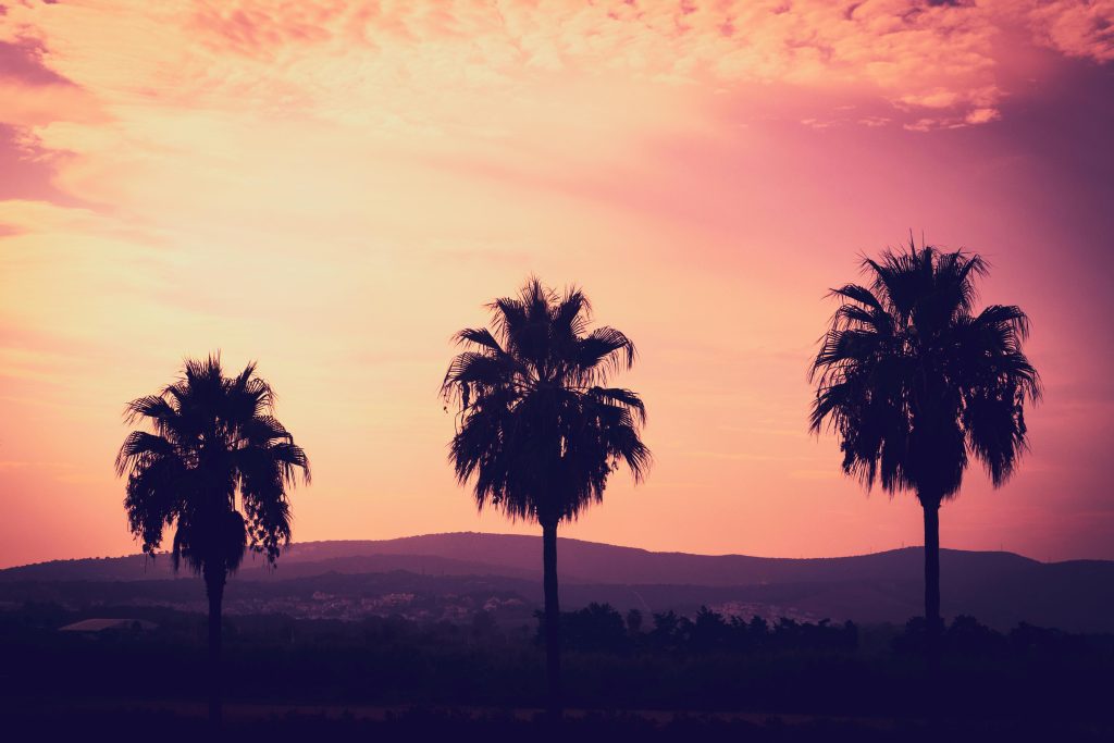 5 Romantic things to do in Sotogrande for a peaceful coastal escape 4 romantic things to do in Sotogrande