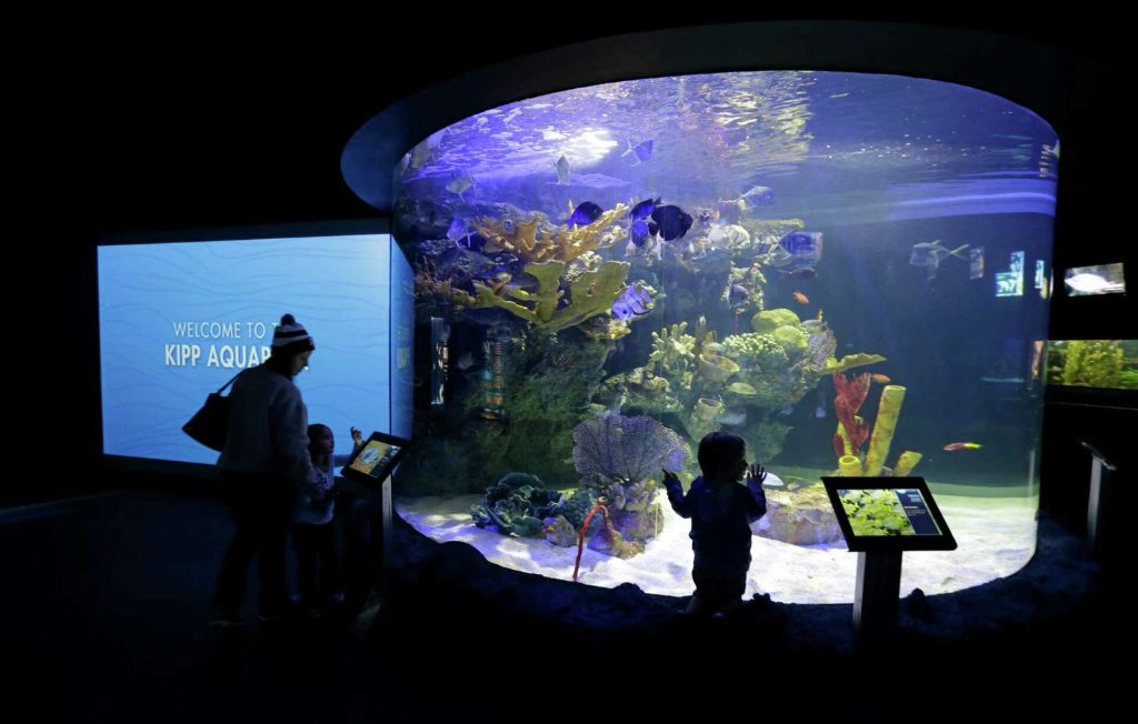 Things to do in Houston when it rains: 8 easy and enjoyable indoor ...