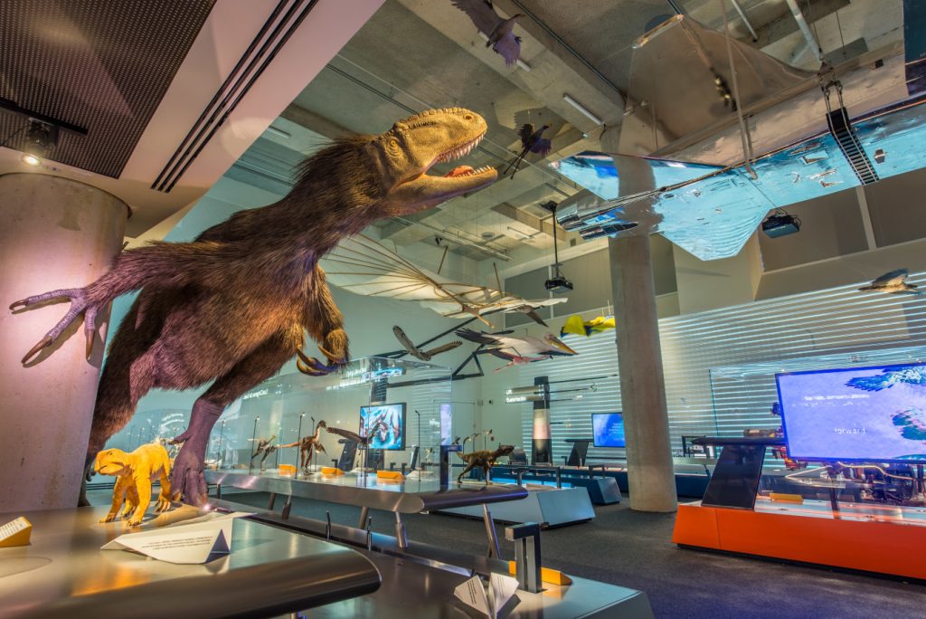 Indoor things to do in Miami: 9 Cool escapes for the hottest summer days 4 indoor things to do in Miami